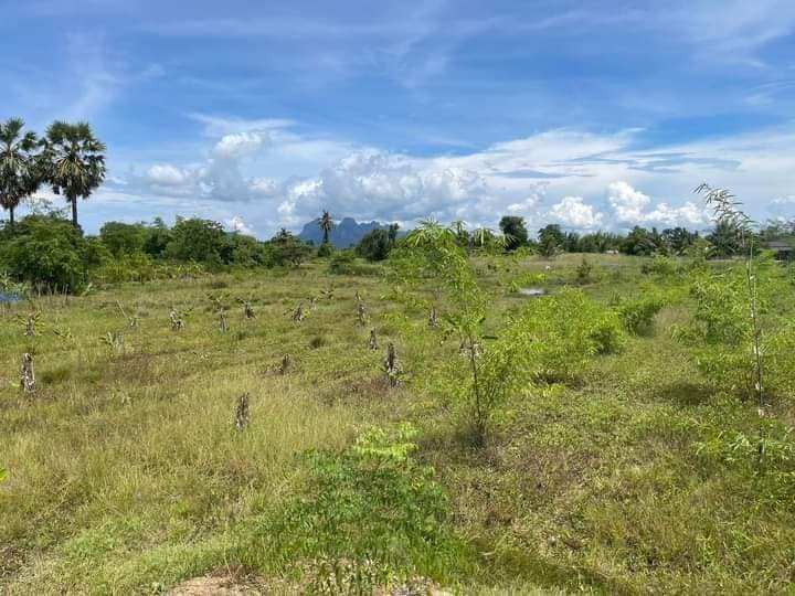 Land plot for residential or agricultural use in Pranburi